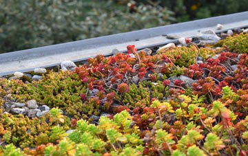 the cost of Grimstone End green roof installation