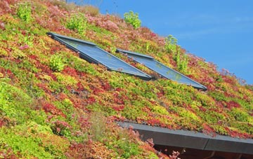 Grimstone End living roof systems